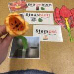 Der Frühling ist da